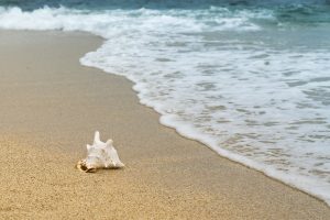 micro plastics